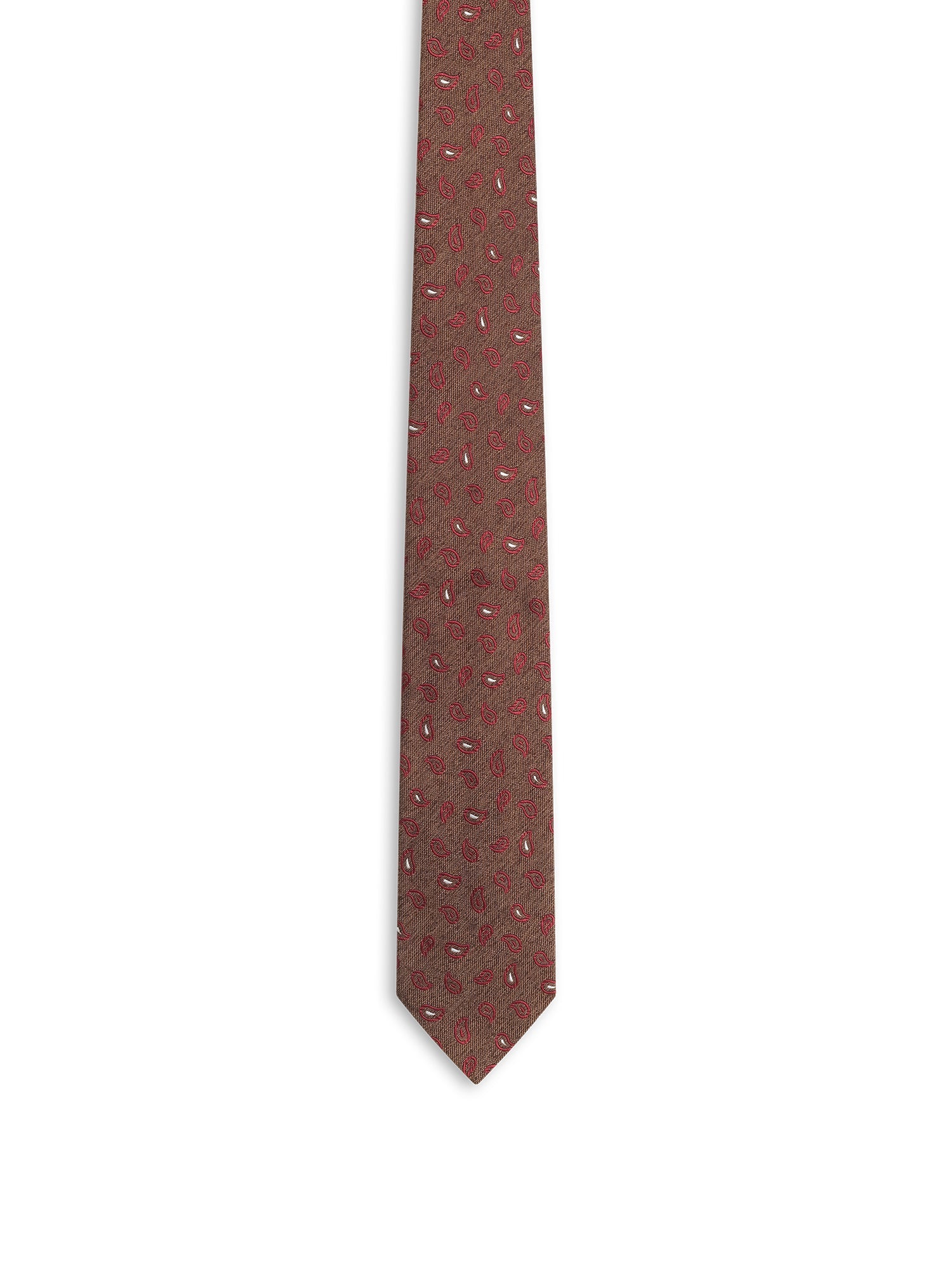 Brown Paisley Tie - Nazario Parisi & Sons